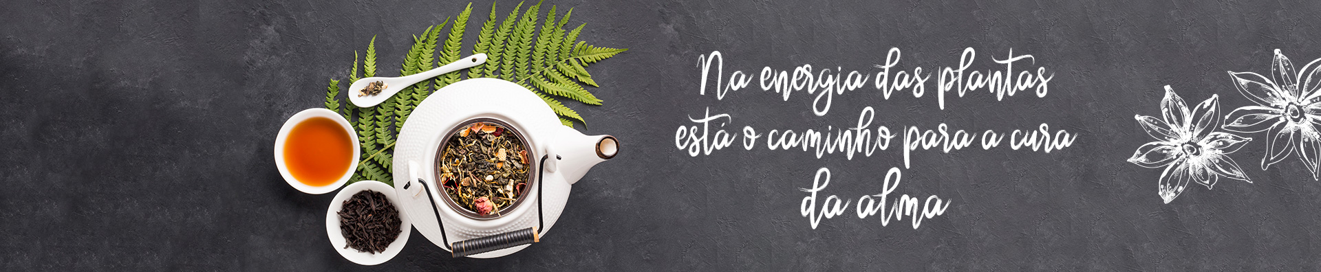 Banner Fitoenergética